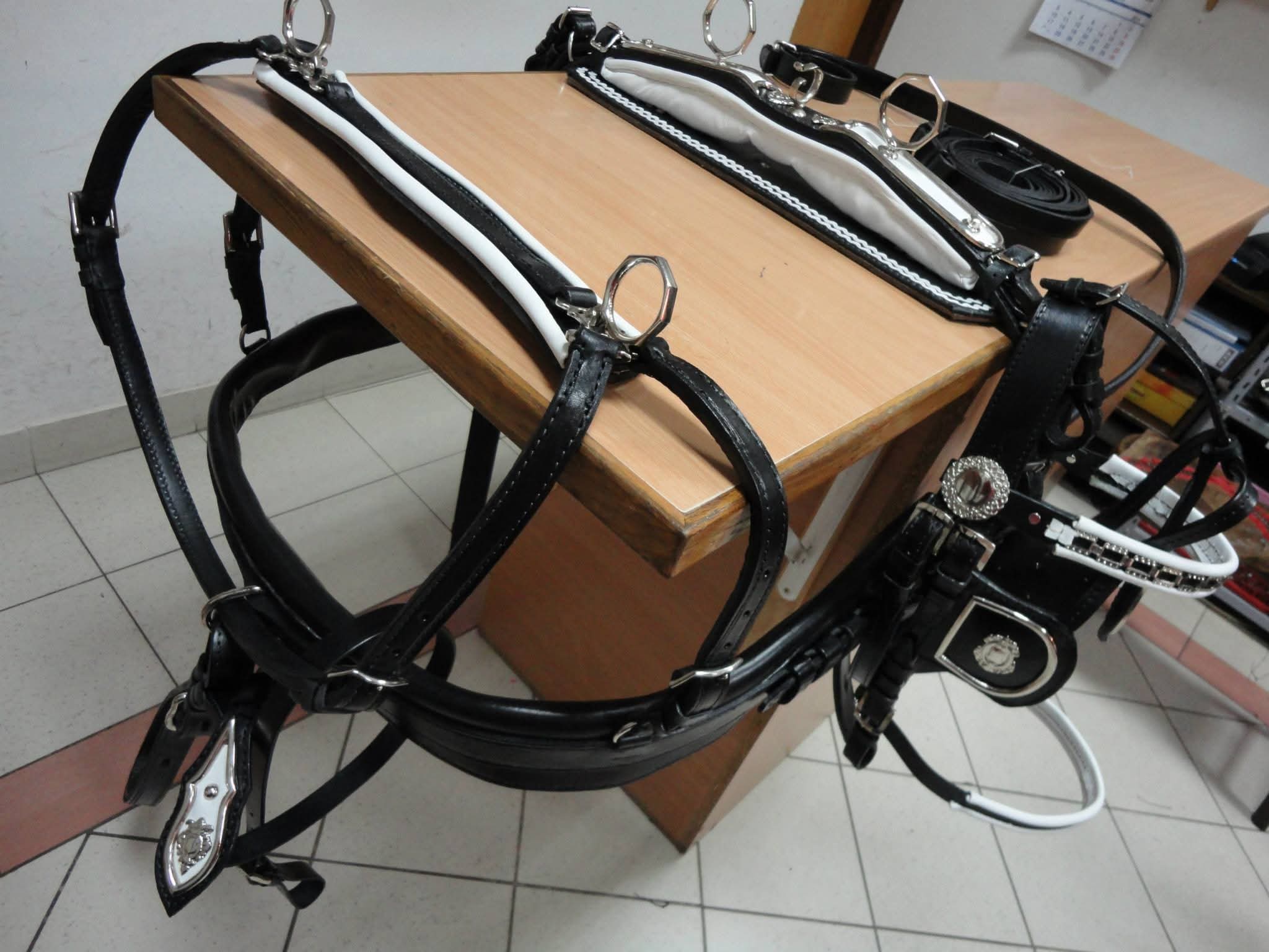 Equestrian rider with full riding gear